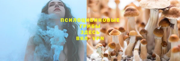 прущие грибы Ростов